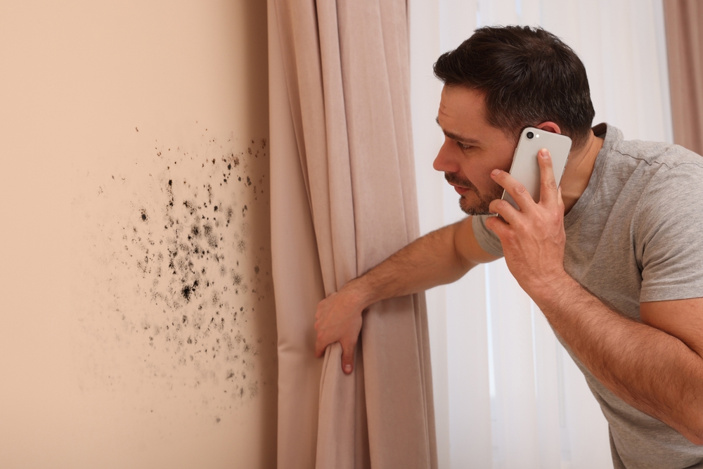Why DIY Mold Removal Often Fails in North Carolina’s Humid Climate